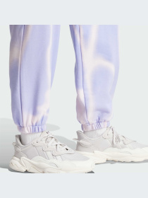 Брюки Adidas Graphics модель IS2490-KZ Фото