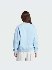 Худи и свитшоты Adidas модель IT9861-KZ Фото