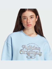 Худи и свитшоты Adidas модель IT9861-KZ Фото