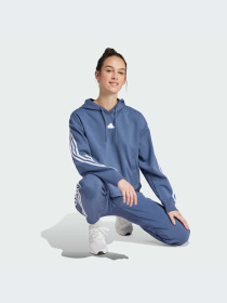 Худи и свитшоты Adidas Icons модель IS3888-KZ Фото