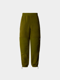 Брюки The North Face модель NF0A870TPIB1 Фото
