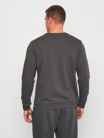 Свитшот Роза модель 210542_dark_gray Фото