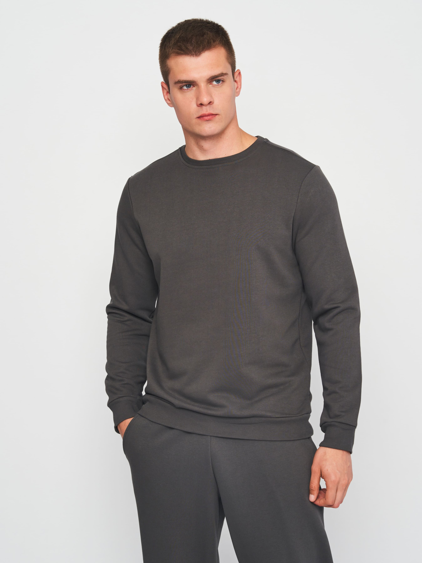 Свитшот Роза модель 210542_dark_gray Свитшот Роза модель 210542_dark_gray Фото