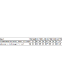 Футболка Носи своє модель 6012-036-33-blij-anme Фото