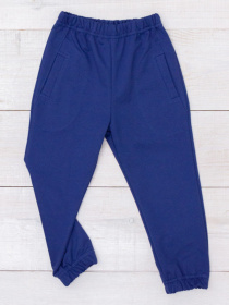 Джоггеры Носи своє модель 6060-057-4-sinj Фото