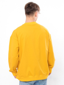 Свитшот Носи своє модель 3364-057-1-grchicq Фото