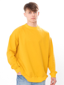 Свитшот Носи своє модель 3364-057-1-grchicq Фото