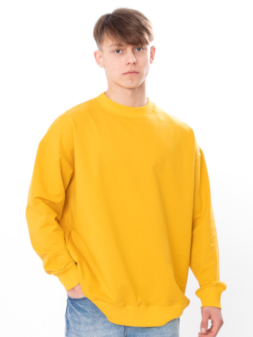 Світшот Носи своє Модель 3364-057-1-grchicq Фото