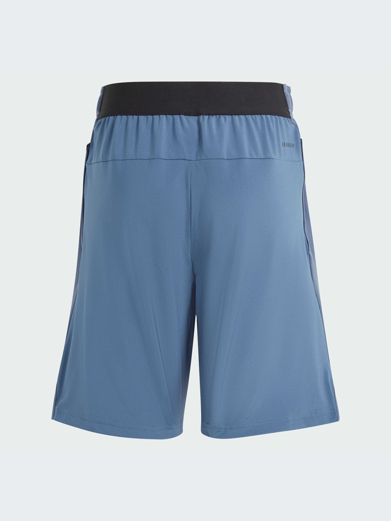 Шорты спортивные Adidas модель IR7555 Фото