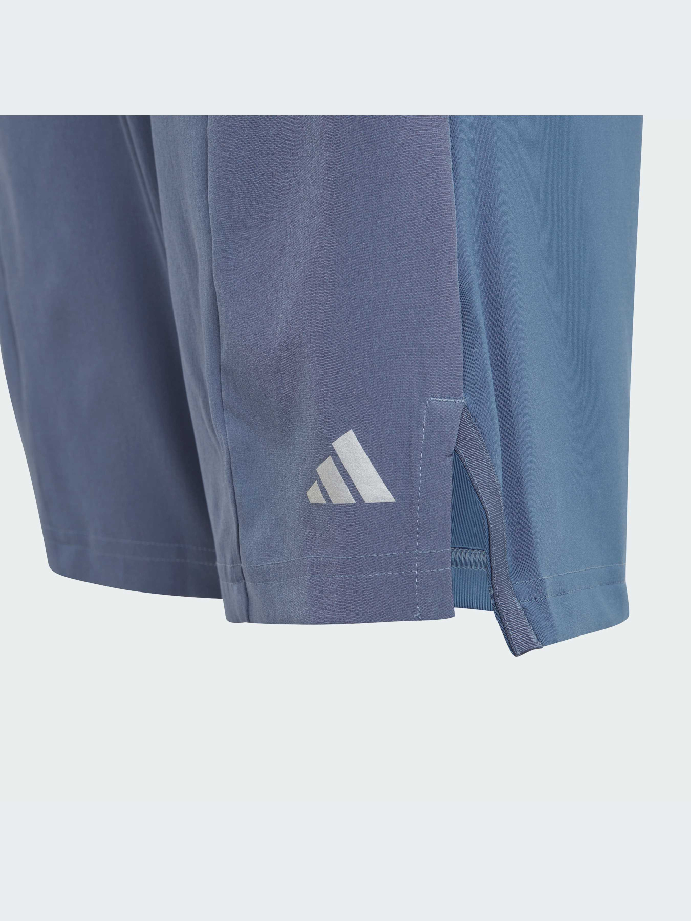 Шорты спортивные Adidas модель IR7555 Фото