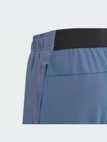 Шорты спортивные Adidas модель IR7555 Фото