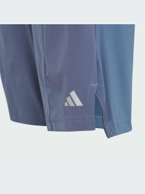 Шорты спортивные Adidas модель IR7555 Фото