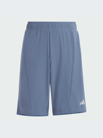 Шорты спортивные Adidas модель IR7555 Фото