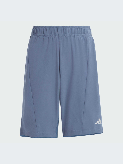 Шорты спортивные Adidas модель IR7555 Фото