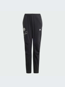 Брюки повседневные Adidas модель IN3299 Фото