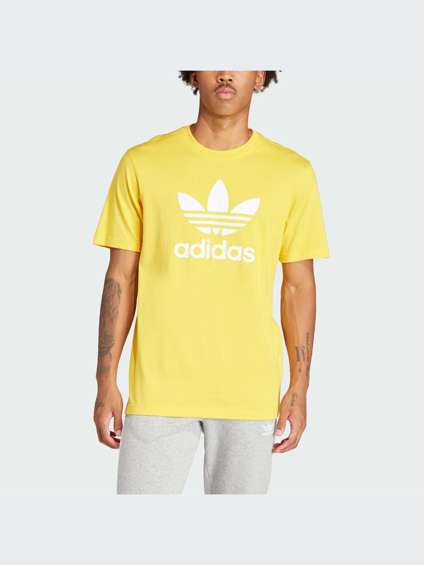 Футболка Adidas Adicolor модель IR7977 Фото