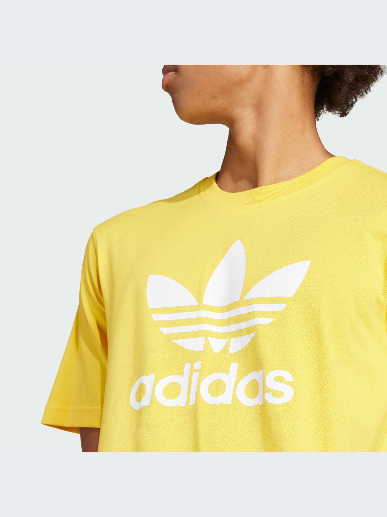 Футболка Adidas Adicolor модель IR7977 Фото