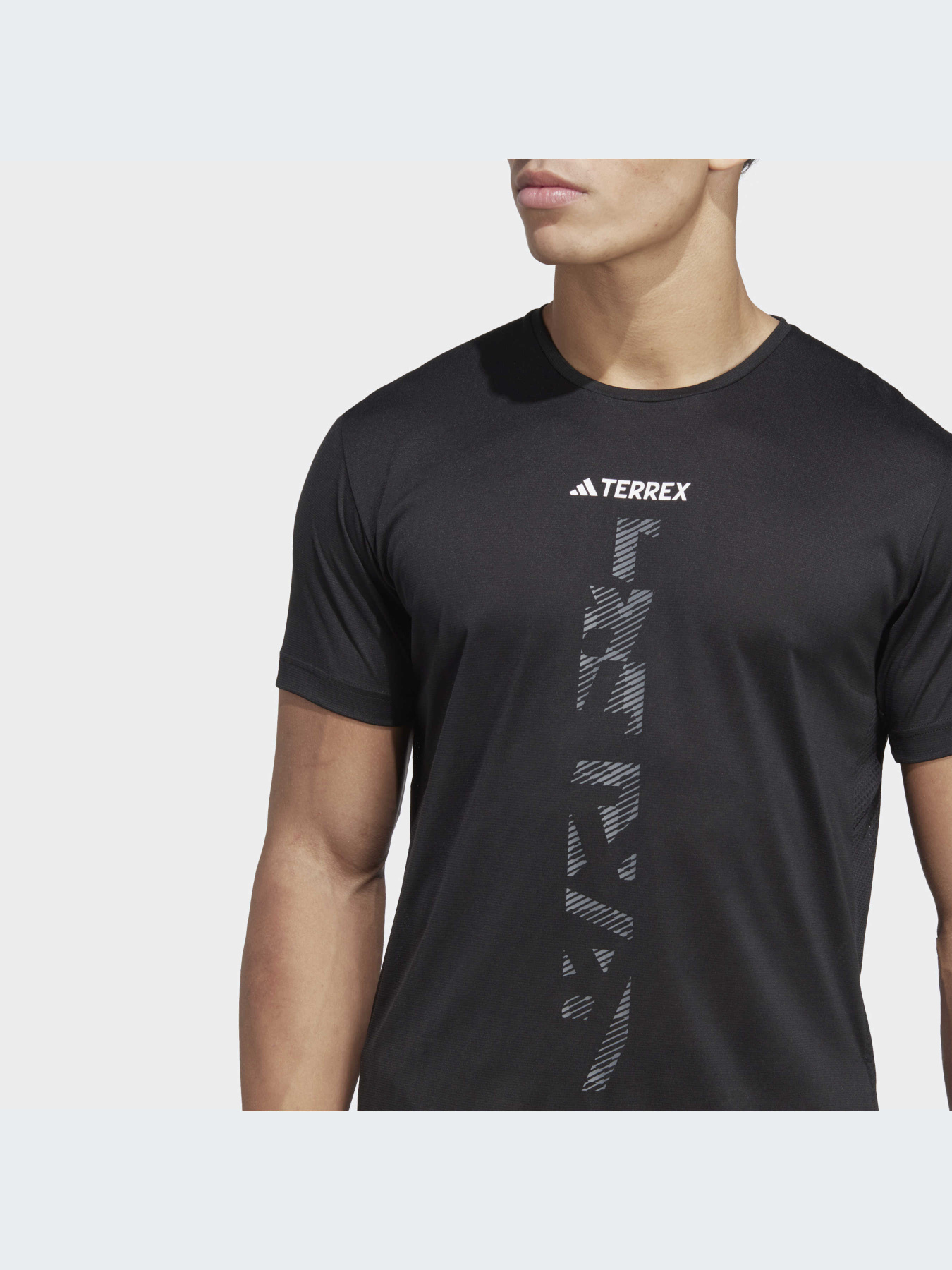 Спортивна футболка Adidas Terrex модель HT9441 Фото