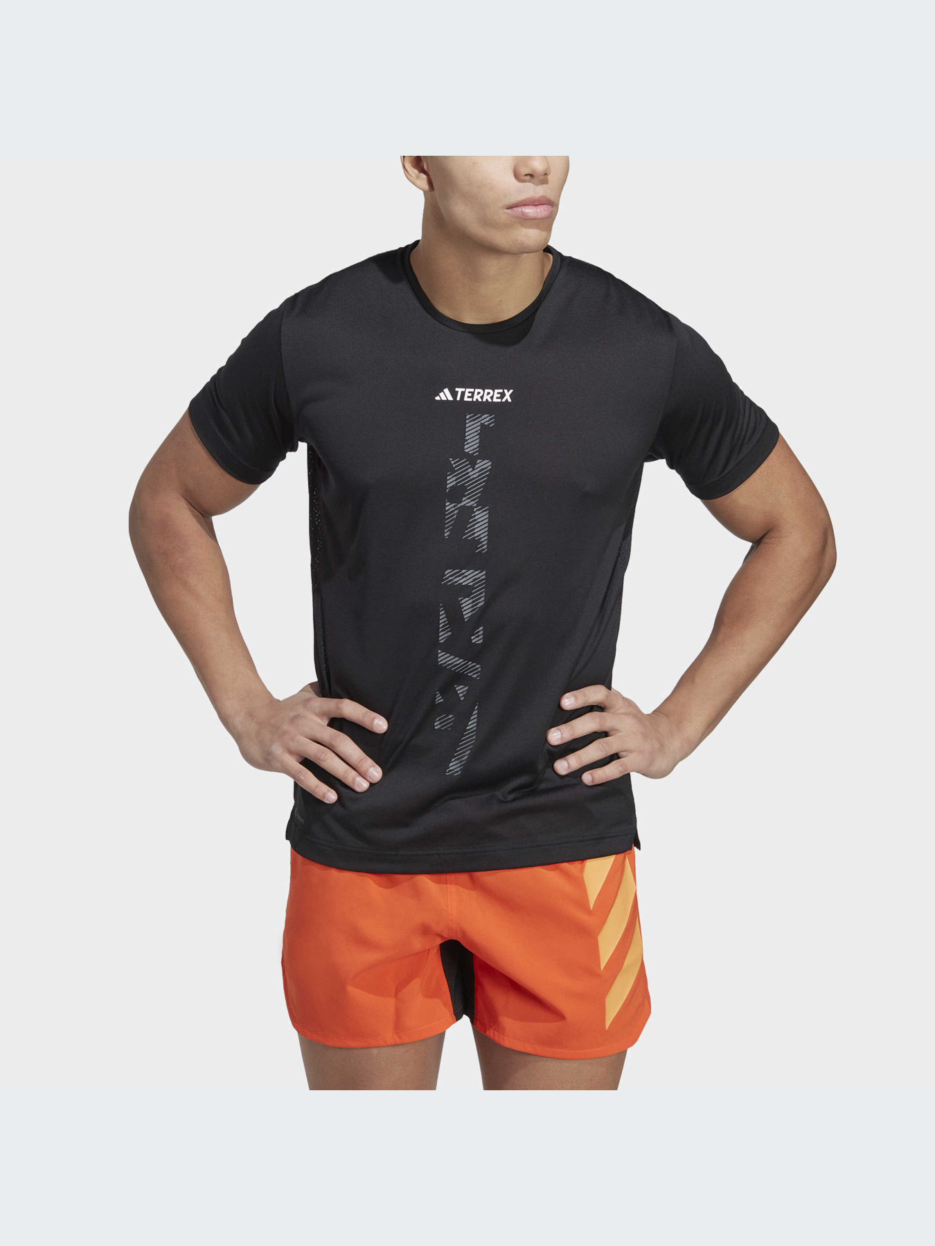 Спортивна футболка Adidas Terrex модель HT9441 Фото