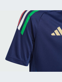 Спортивная футболка Adidas Tiro модель IQ2171 Фото