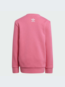 Спортивный костюм Adidas модель IT7919 Фото