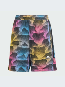 Шорти Adidas Tiro модель IQ4813 Фото