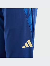 Штани спортивні Adidas Tiro модель IQ2161 Фото