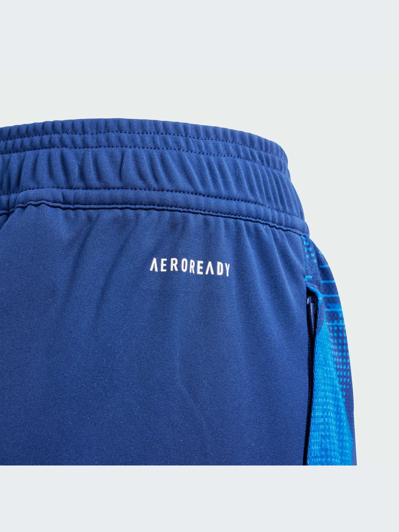 Спортивні штани Adidas Tiro модель IQ2161 Фото