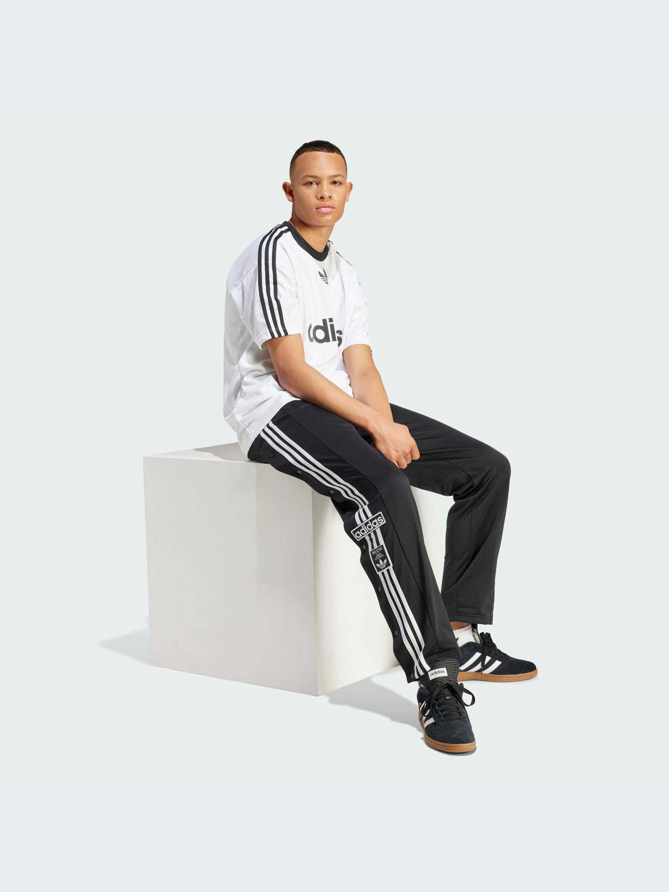 Футболка Adidas Adicolor модель IM9459 Фото