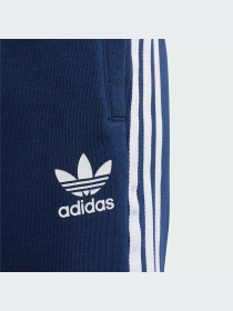 Повсякденні шорти Adidas Adicolor модель IJ9732 Фото