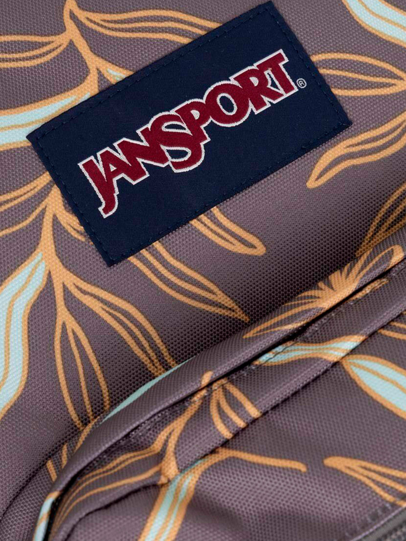 Рюкзаки JanSport модель EK0A5BAP6K61 Фото