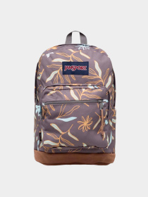 Рюкзаки JanSport модель EK0A5BAP6K61 Фото