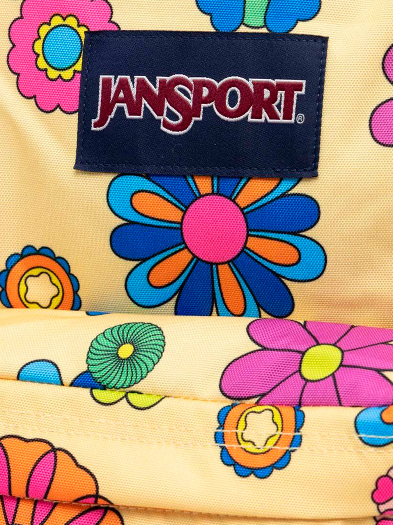 Рюкзаки JanSport модель EK0A5BAG6K11 Фото