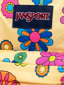 Рюкзаки JanSport модель EK0A5BAG6K11 Фото