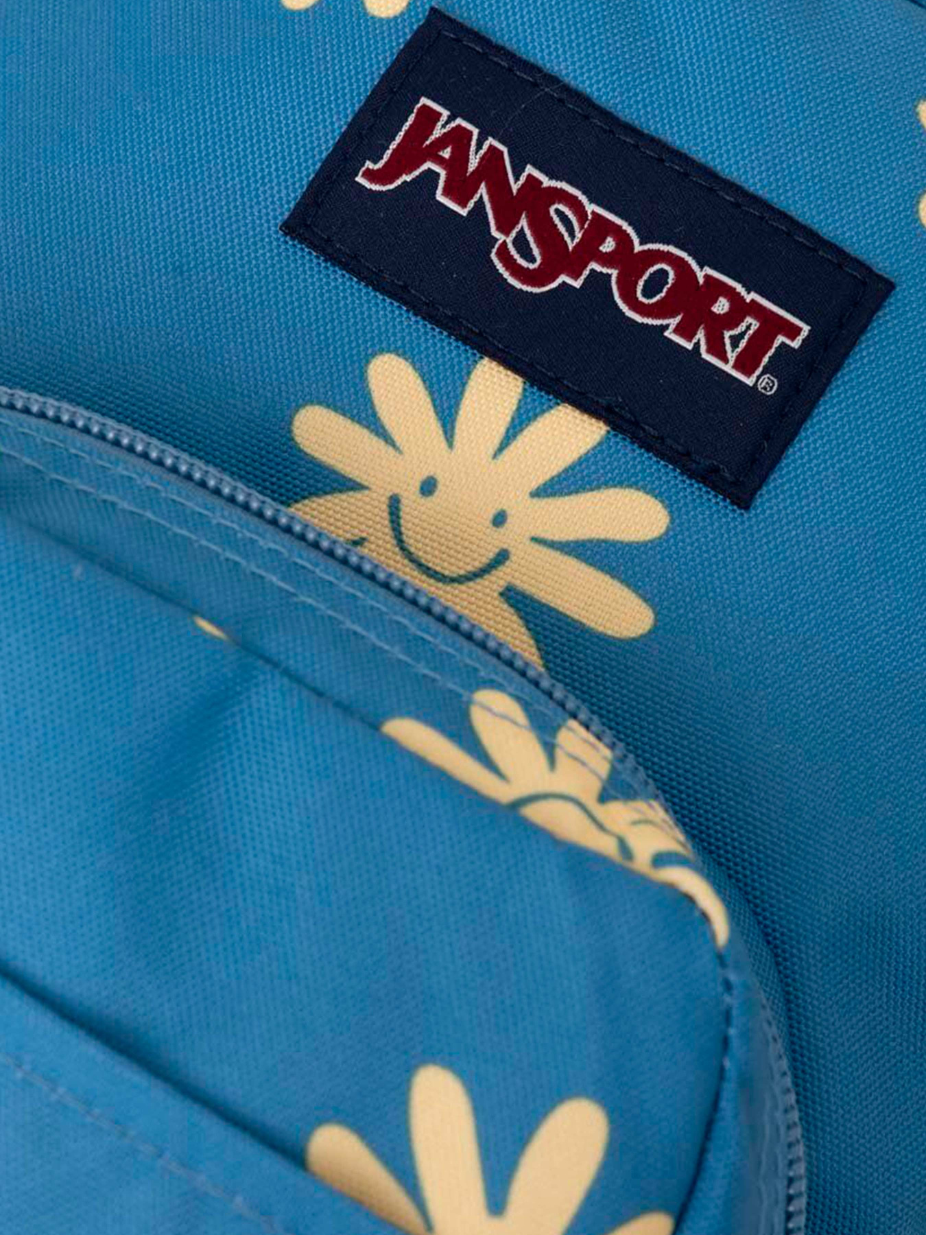 Рюкзаки JanSport модель EK0A5BBI5K91 Фото