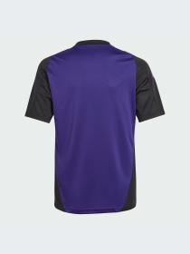 Футболка спортивная Adidas модель IP8244 Фото