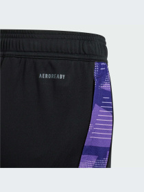 Штаны спортивные Adidas модель IP8239 Фото