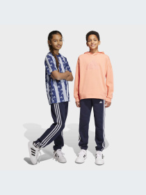 Джоггеры Adidas модель IC0601 Фото