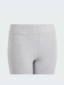 Легінси Adidas модель IS2649 Фото