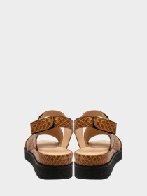 Босоножки Laura Franchi модель 3289-3brsk Фото