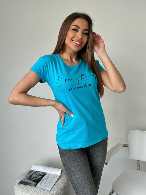 Футболка ISSA Plus модель WN20-593_голубой Футболка ISSA Plus модель WN20-593_голубой Фото