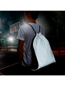 Рюкзак Schwarzwolf DENISON модель F3510100AJ3 Фото