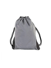 Рюкзак Schwarzwolf DENISON модель F3510100AJ3 Фото