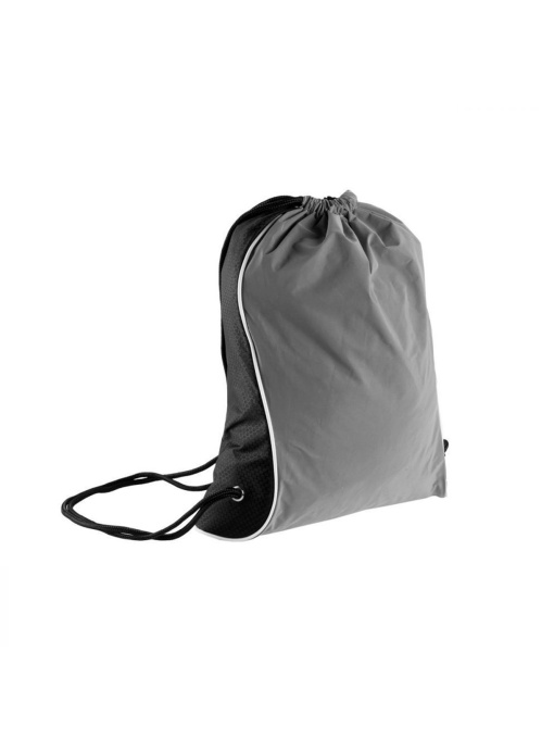 Рюкзак Schwarzwolf DENISON модель F3510100AJ3 Фото