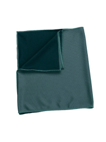 Туристичний рушник Schwarzwolf LANAO модель F5300400AJ3 Фото