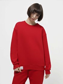 Світшот Chikiss модель CVS005-027 Фото