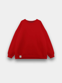 Світшот Chikiss модель CVS007-027 Фото