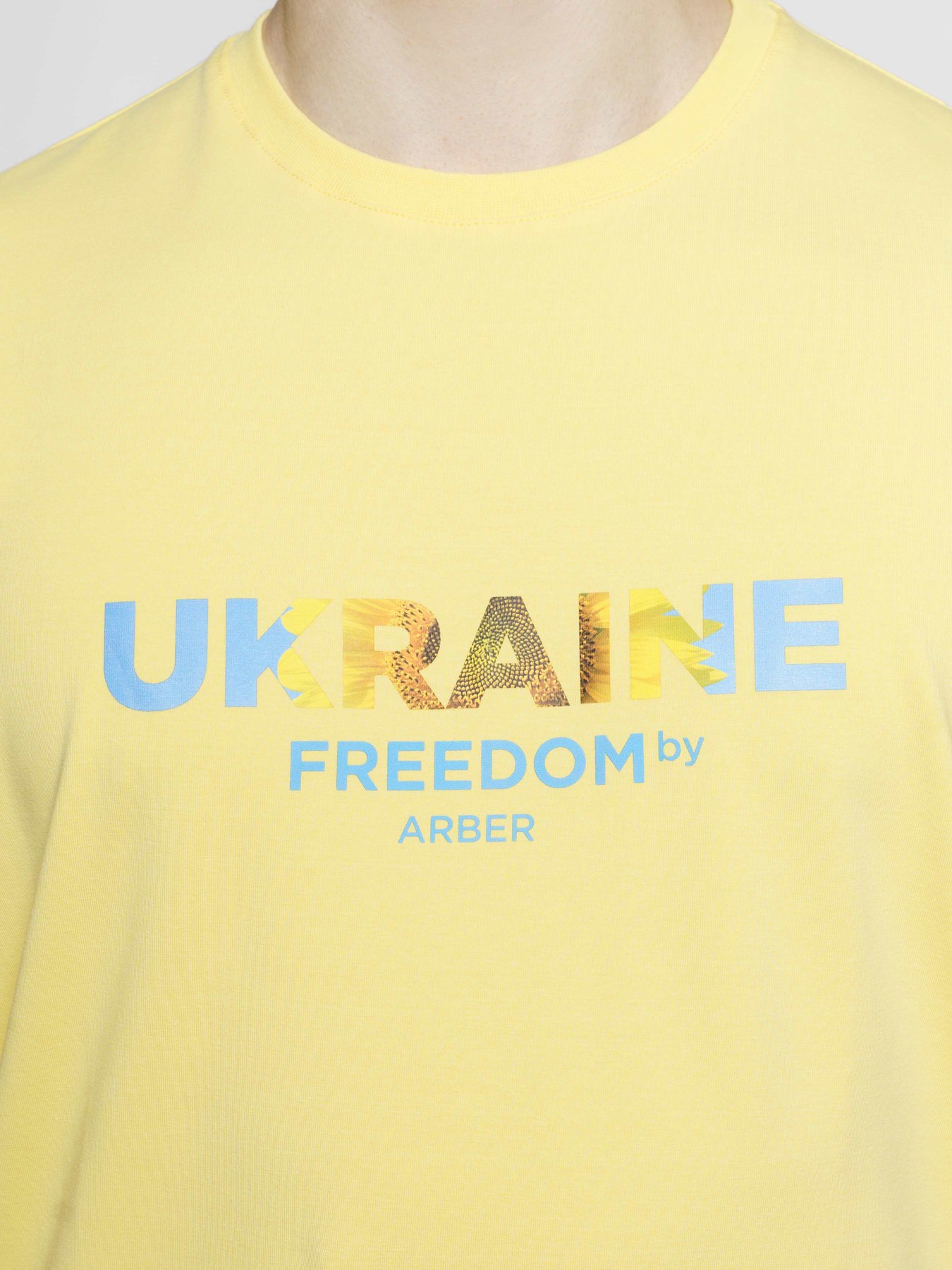 Футболка Arber модель F13.06.26.411 Фото