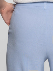 Брюки классические Arber модель W01.11.23.412 Фото