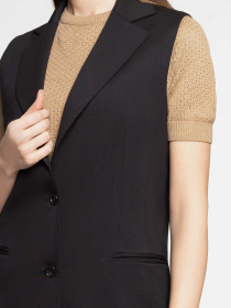 Жилет классический Arber модель W20.09.02.411 Фото